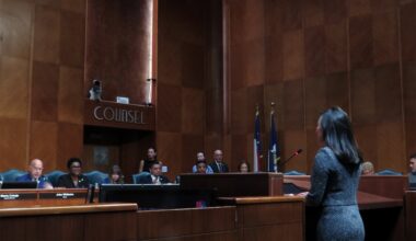 a woman wearing black stands before a city council