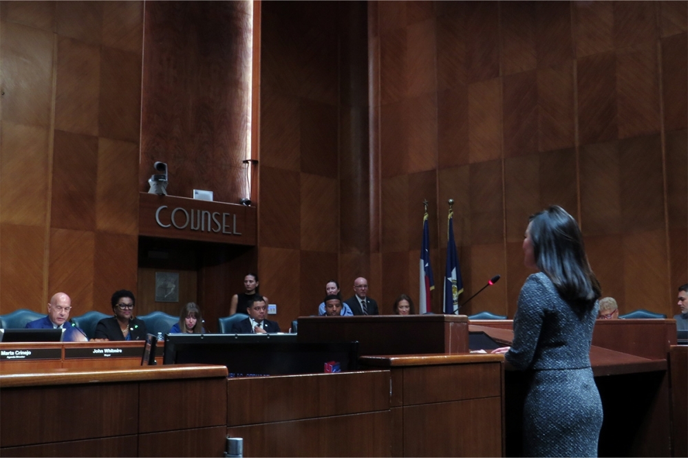 a woman wearing black stands before a city council