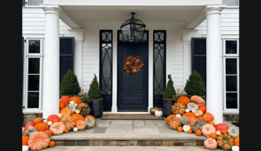The Pumpkin Parlor offering new fall service in San Antonio