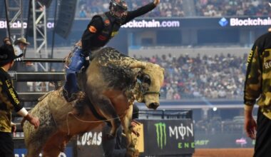 Man riding bull