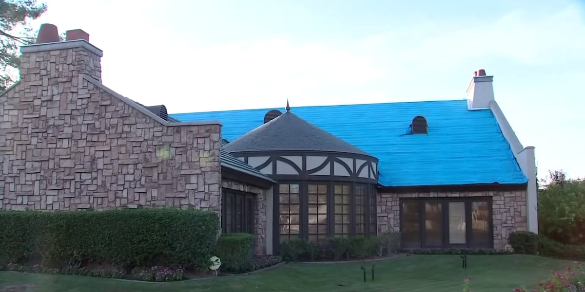 Phoenix neighborhood split on proposed project for ‘iconic’ building