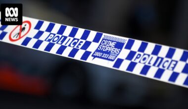Teenage girl in critical condition after dog attack in Hunter Valley