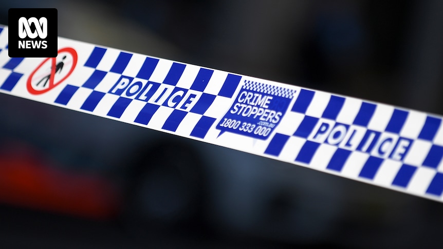 Teenage girl in critical condition after dog attack in Hunter Valley
