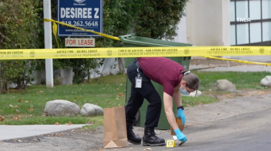 Woodland Hills break-in