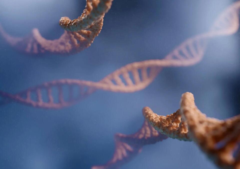 Could Longevity Really Be Written Into Human DNA?