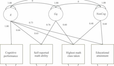 A genetic common factor underlying self-reported math ability and highest math class taken