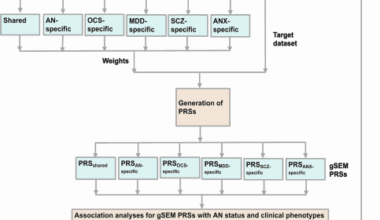 Leveraging transdiagnostic genetic liability to psychiatric disorders to dissect clinical outcomes of anorexia nervosa
