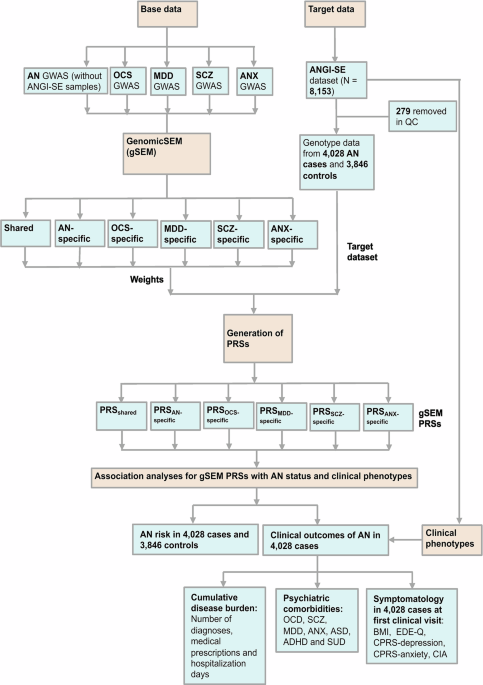 Leveraging transdiagnostic genetic liability to psychiatric disorders to dissect clinical outcomes of anorexia nervosa