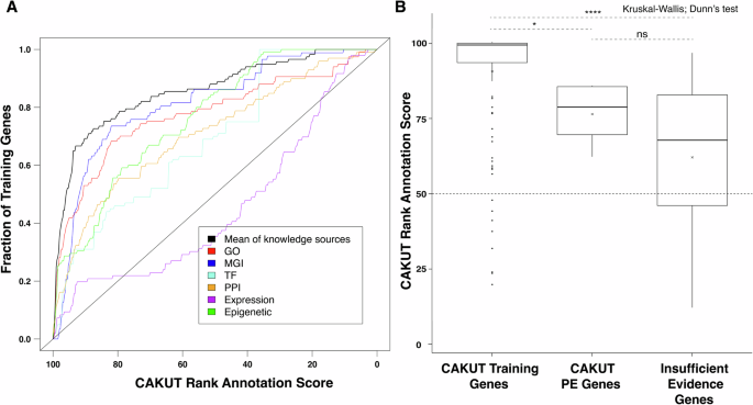 Clinical exome sequencing efficacy and phenotypic expansions involving non-isolated congenital anomalies of kidney and urinary tract (CAKUT+)
