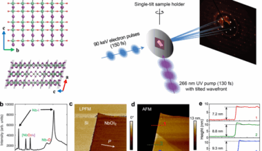 Ultrafast dynamics of ferroelectric polarization of NbOI2 captured with femtosecond electron diffraction