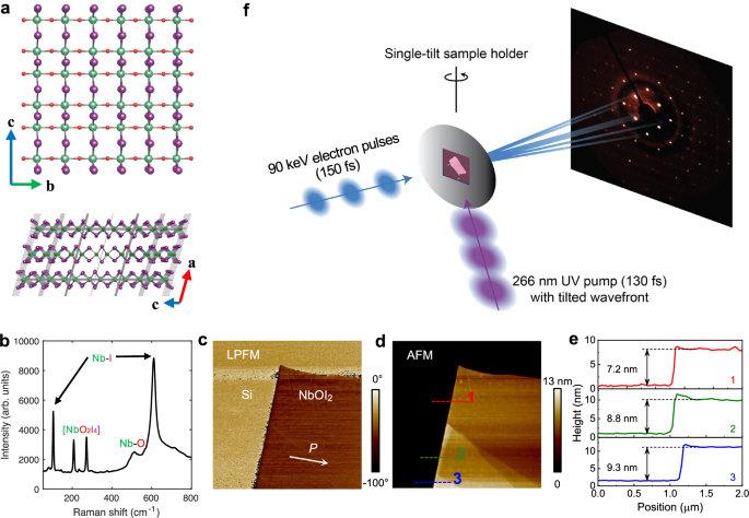 Ultrafast dynamics of ferroelectric polarization of NbOI2 captured with femtosecond electron diffraction