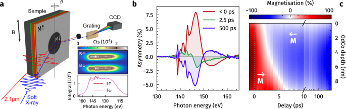 Transient domain boundary drives ultrafast magnetisation reversal