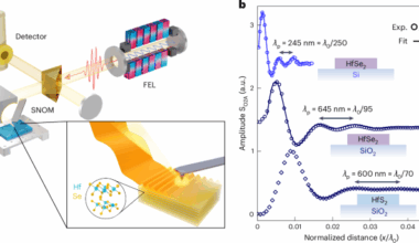 Ultraconfined terahertz phonon polaritons in hafnium dichalcogenides