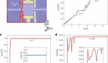 Universal anyon tunnelling in a chiral Luttinger liquid