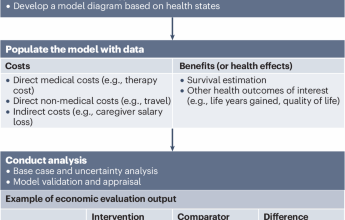 Guidelines for the use of economic evaluation to inform policies around access to treatment for kidney failure