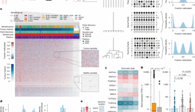 Fluctuating DNA methylation tracks cancer evolution at clinical scale