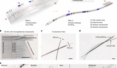 High-density soft bioelectronic fibres for multimodal sensing and stimulation