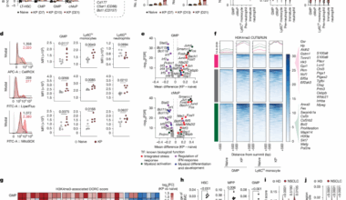 Myeloid progenitor dysregulation fuels immunosuppressive macrophages in tumours