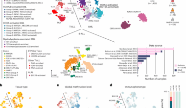 Rapid epigenomic classification of acute leukemia