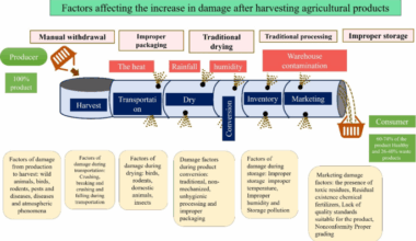 Investigating the impact of the internet on managing green financial innovation and improving agricultural conditions in water-scarce Asian regions using ANN modeling