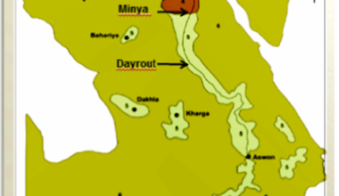 Population genetic structure of Chrysomya megacephala (Fabricius) of the Egyptian fauna