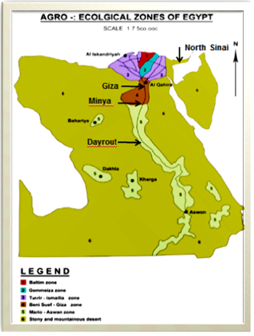 Population genetic structure of Chrysomya megacephala (Fabricius) of the Egyptian fauna