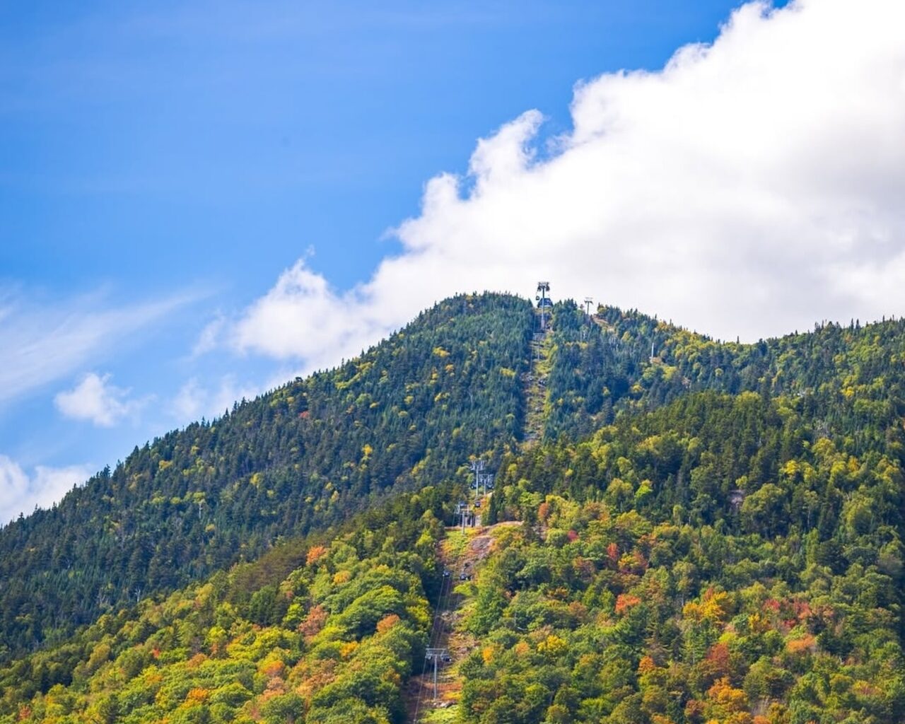 2025 NY fall foliage report: Where to see early autumn colors now