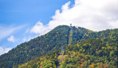 2025 NY fall foliage report: Where to see early autumn colors now
