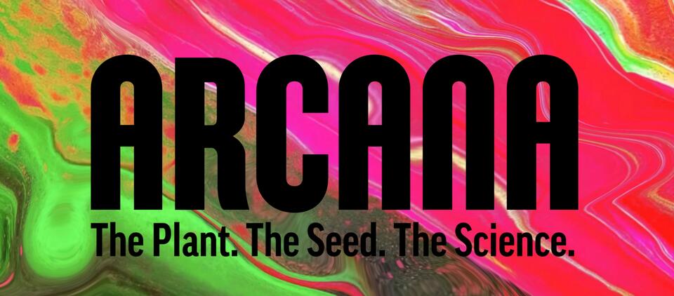 Arcana Collective Unites Legacy Cannabis Breeders and Respected Business Leaders to “Advance Genetics and Elevate the Industry”