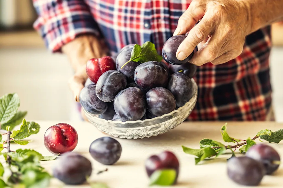 The hands of an elderly farmer hold a bowl of plums.