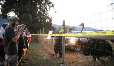 Edgewood residents stay silent on ostrich farm controversy over safety fears, ‘very volatile’