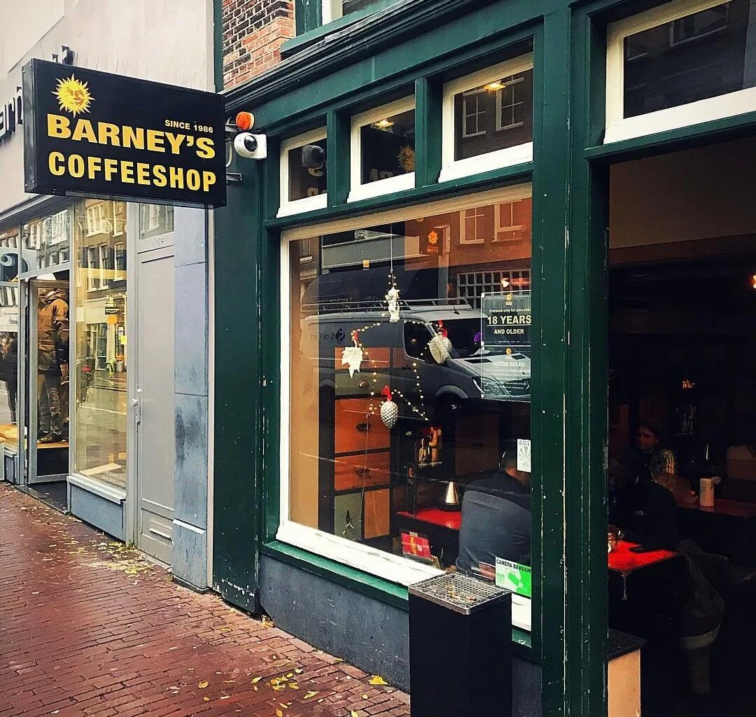 How Cannabis Tourism Is Changing — Every Day Tourist