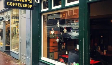 How Cannabis Tourism Is Changing — Every Day Tourist