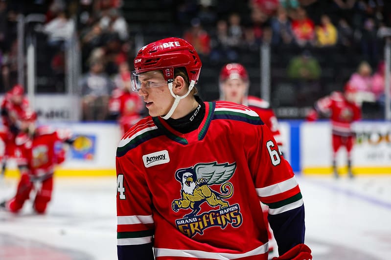 Michael Brandsegg-Nygard, Red Wings