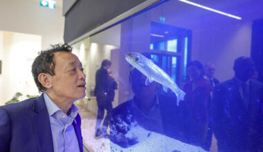 Director-General’s Iceland visit focuses on salmon genetics, renewable energy and the blue economy