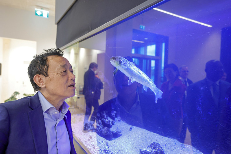 Director-General’s Iceland visit focuses on salmon genetics, renewable energy and the blue economy