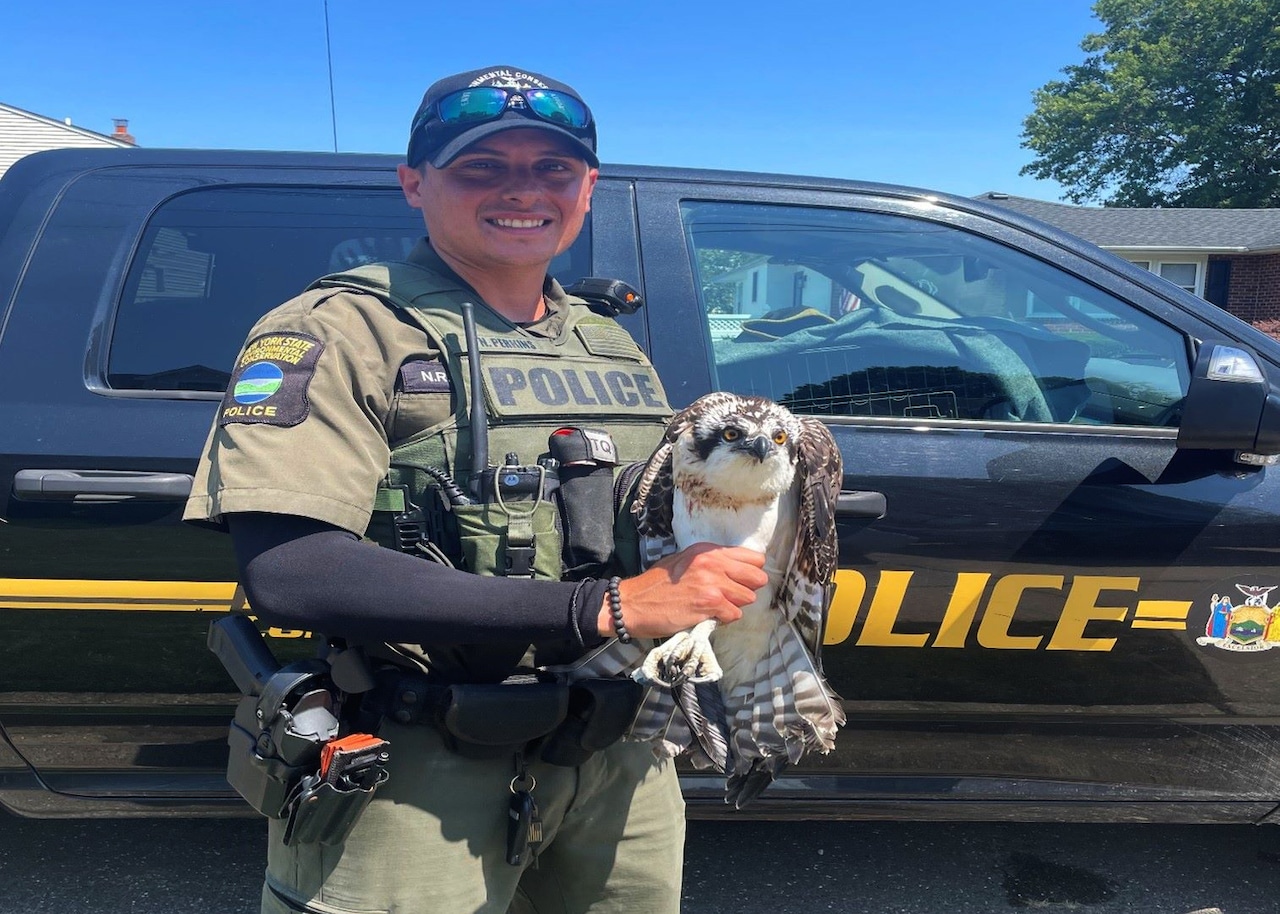 NYS DEC police report for Aug. 2025