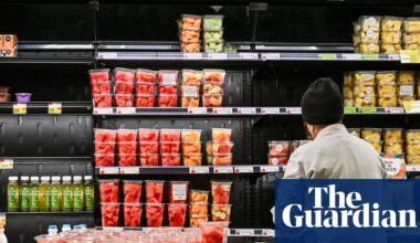 Revisions and rising unemployment: what to know about the US jobs report | US unemployment and employment data