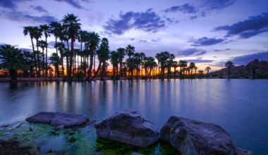 These are the spots in Phoenix you must visit. Vote for your favorite