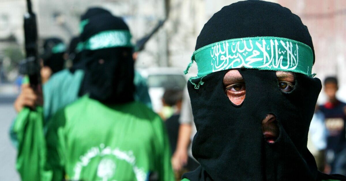 Bombshell Gaza files show Foreign Office staff met with Hamas | Politics | News