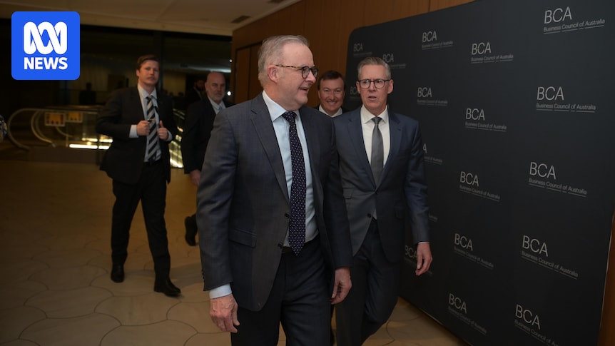 Prime minister's annual address to big business flags corporate tax reform