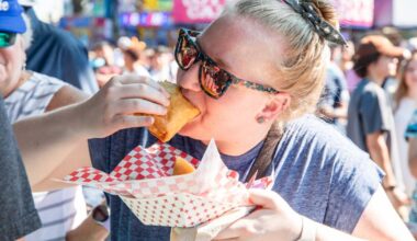 Mav State Fair to bring a taste of the State Fair of Texas to campus | News