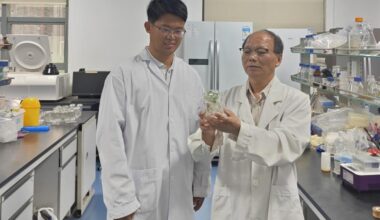 Chinese researchers identify a key gene to combat 'cancer' in cruciferous crops