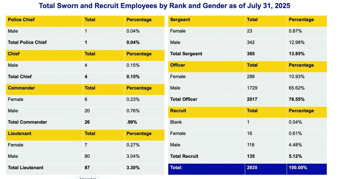 Phoenix Police face 30% recruit dropout rate | News