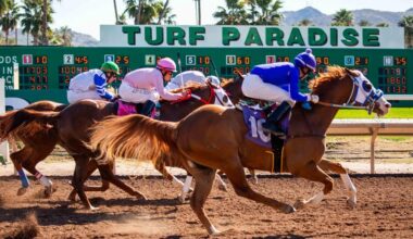 AZ funding to horsetrack was unconstitutional, Mayes says