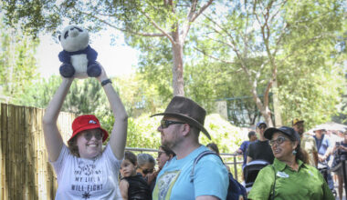 Free Zoo Parking...For Some. | STAR 94.1