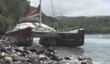 State fines Hula Girl catamaran $30,000 for damage in Honolua Bay | News