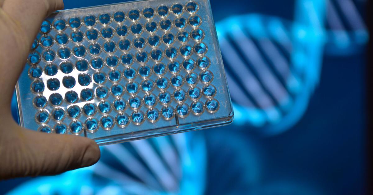 Genetic testing isn’t common in adults. A new study shows it should be | Lifestyle