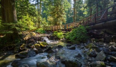 Timber Press Announces New Outdoor Guidebooks for Kids | Travel + Outdoors
