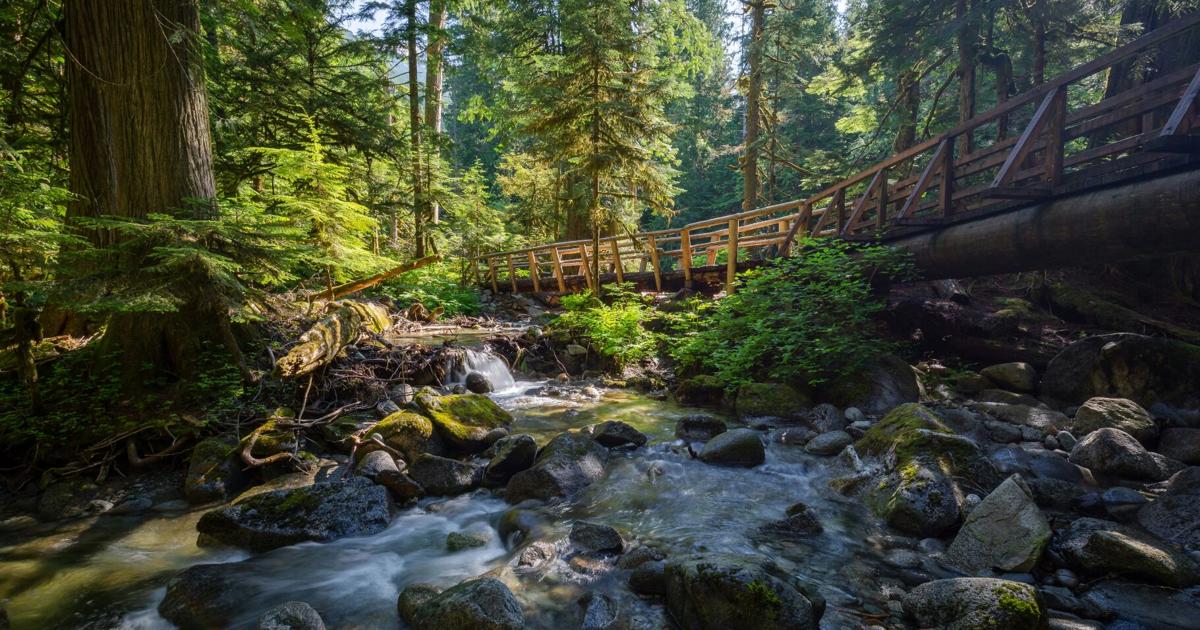 Timber Press Announces New Outdoor Guidebooks for Kids | Travel + Outdoors